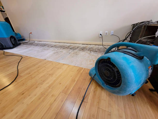 Professional Water Extraction technician working in Rockland, ME
